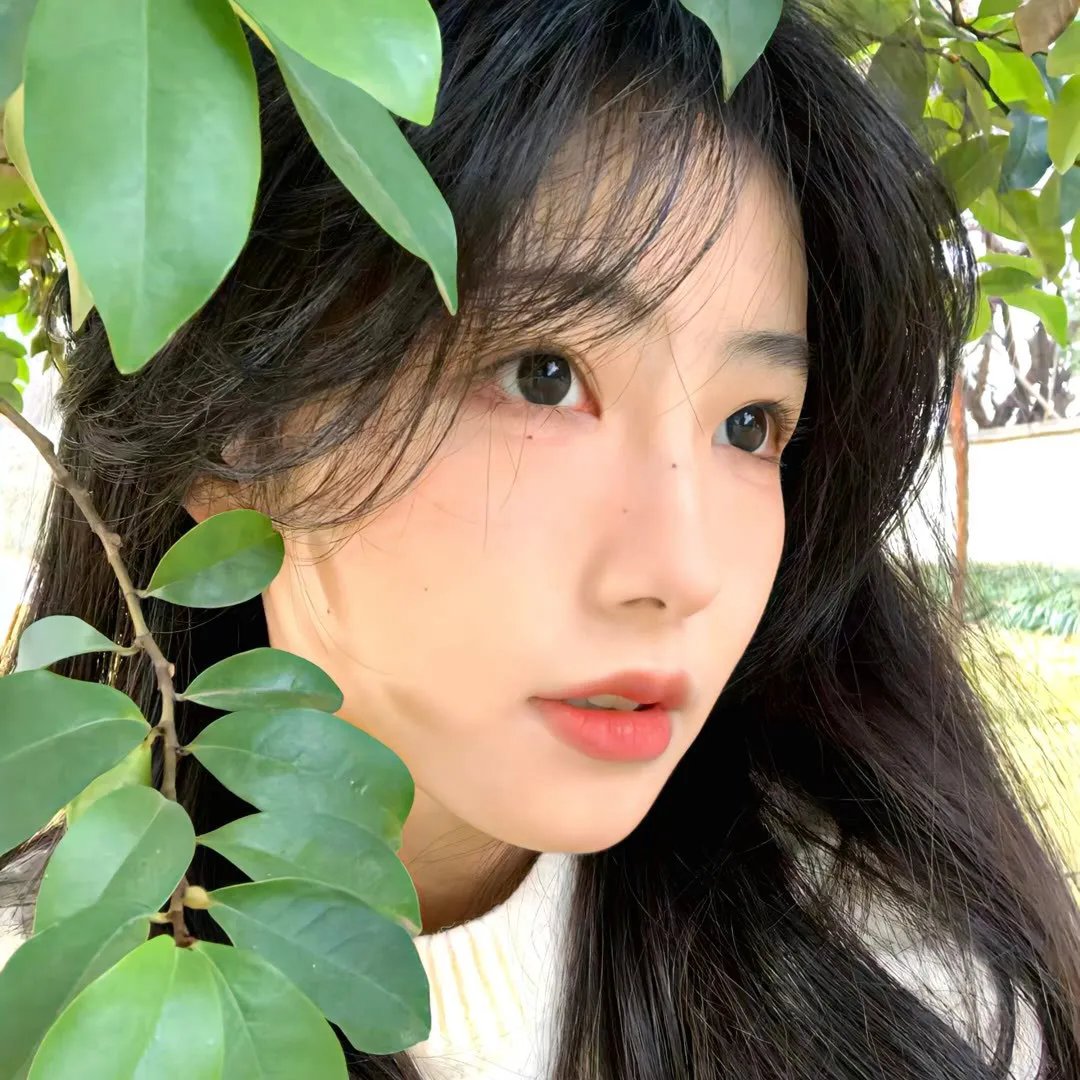 危机迷雾
