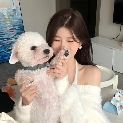 发现之岛